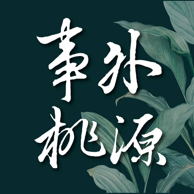 IG 社群商业帐号大头贴照设计